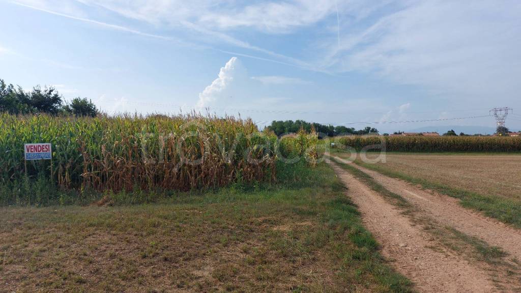 terreno agricolo in vendita a Paese