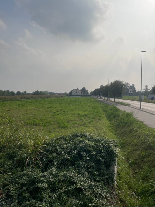 terreno agricolo in vendita a Paese
