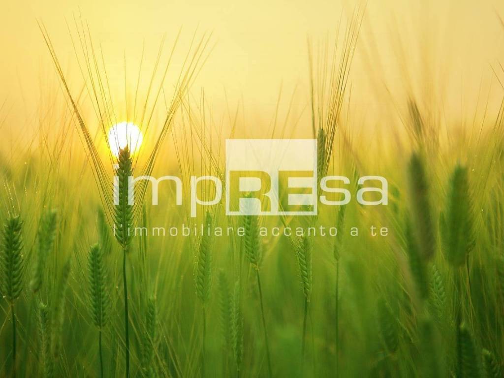 terreno agricolo in vendita a Paese in zona Porcellengo