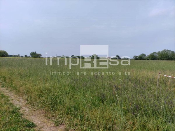 terreno agricolo in vendita a Paese in zona Porcellengo