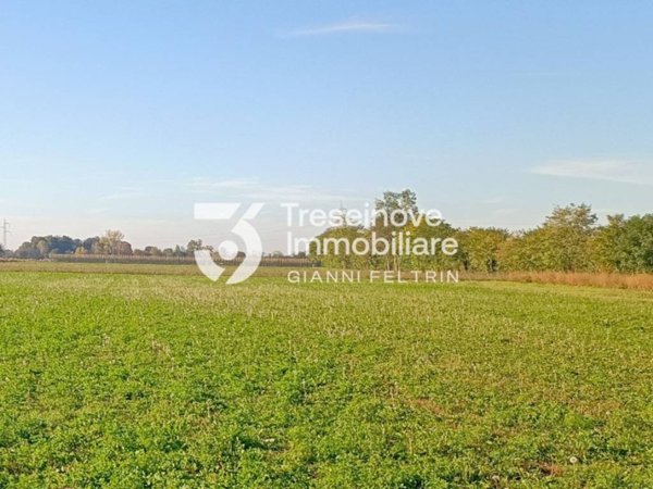 terreno agricolo in vendita a Paese in zona Porcellengo