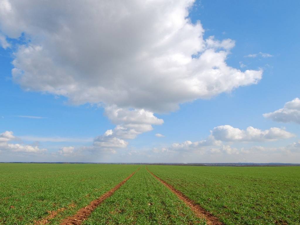terreno agricolo in vendita a Paese
