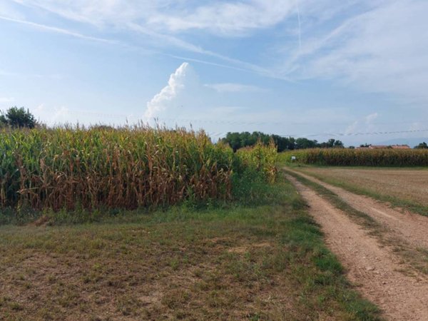 terreno agricolo in vendita a Paese