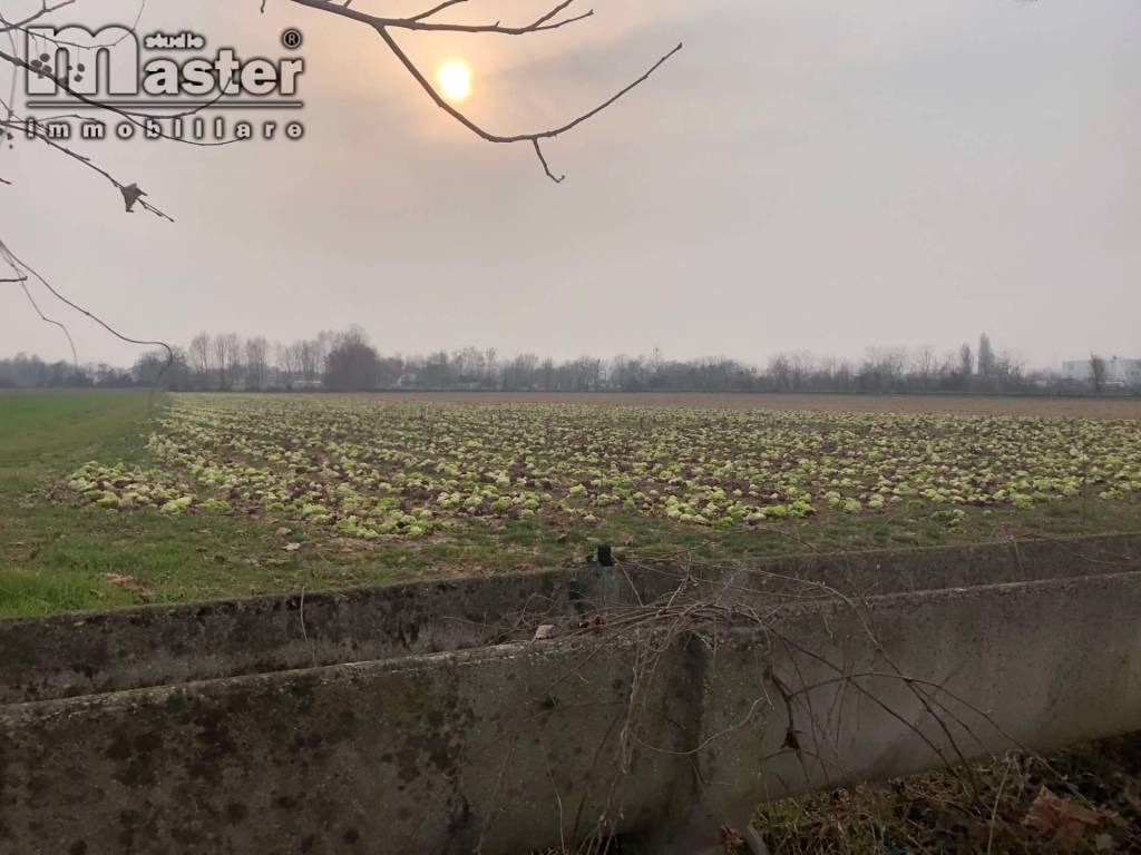 terreno agricolo in vendita a Paese