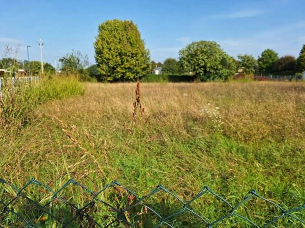 terreno agricolo in vendita a Paese