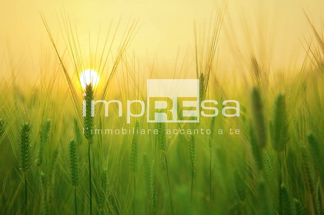 terreno agricolo in vendita a Paese in zona Porcellengo