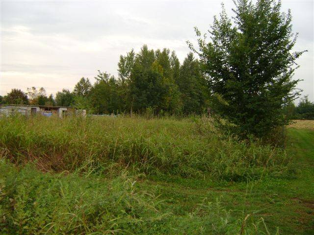 terreno agricolo in vendita a Paese