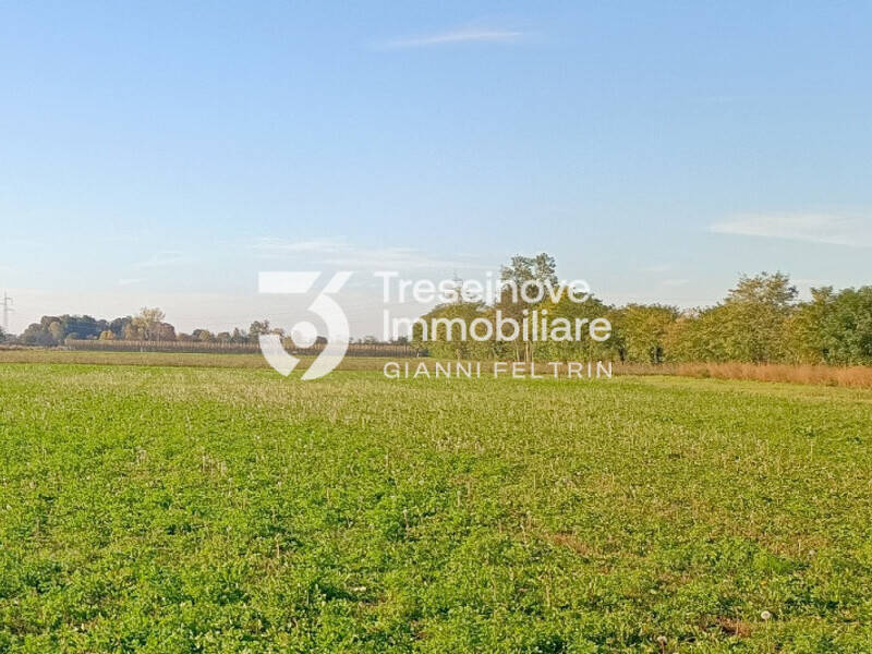 terreno agricolo in vendita a Paese in zona Padernello