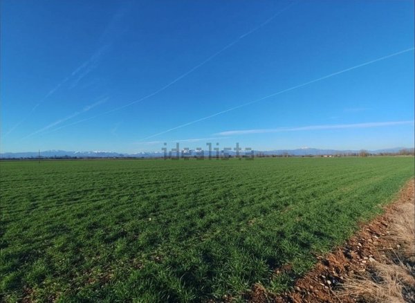 terreno edificabile in vendita a Paese in zona Padernello