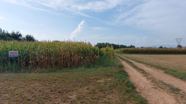terreno agricolo in vendita a Paese in zona Case Corrente