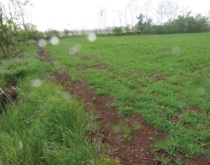 terreno agricolo in vendita a Paese