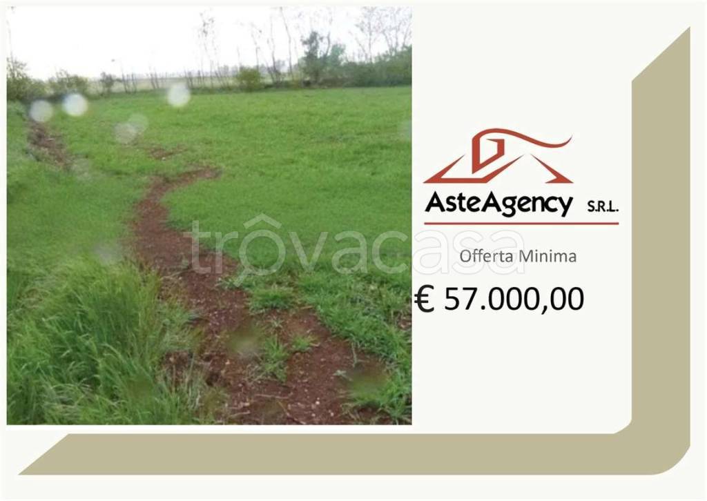 terreno agricolo in vendita a Paese