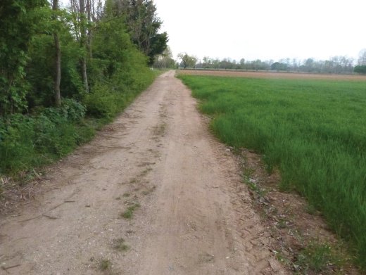 terreno agricolo in vendita a Paese