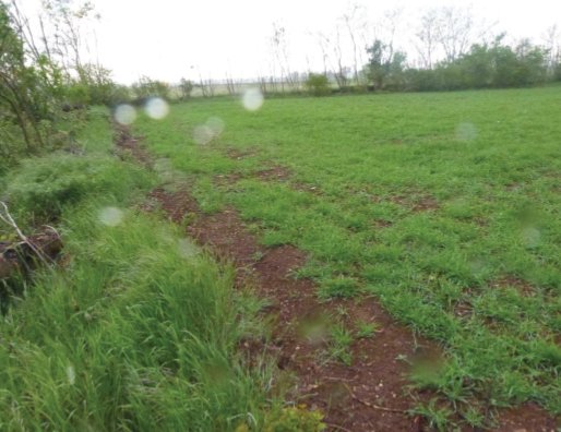 terreno agricolo in vendita a Paese