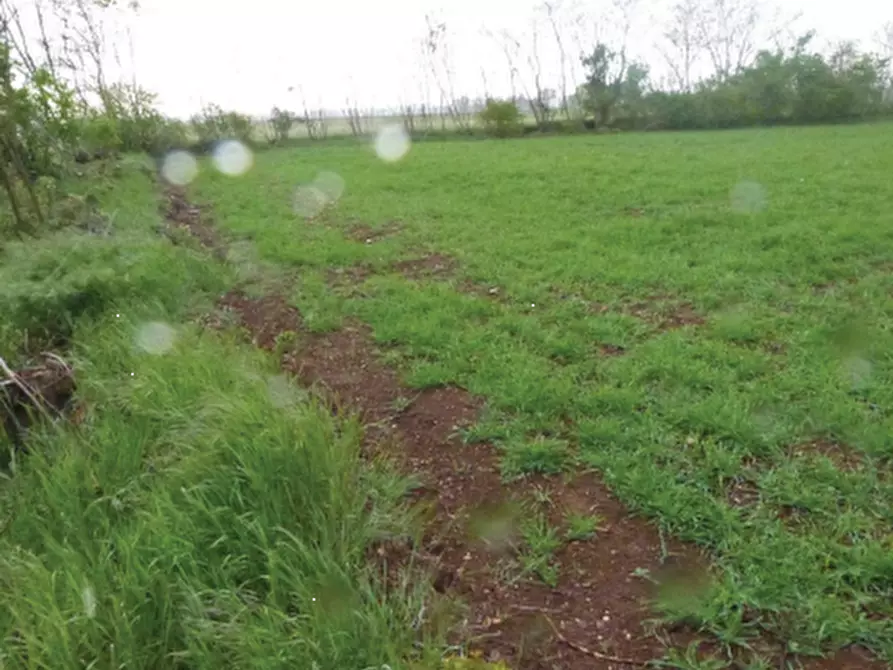 terreno agricolo in vendita a Paese