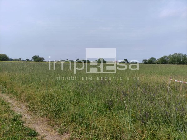 terreno agricolo in vendita a Paese in zona Porcellengo