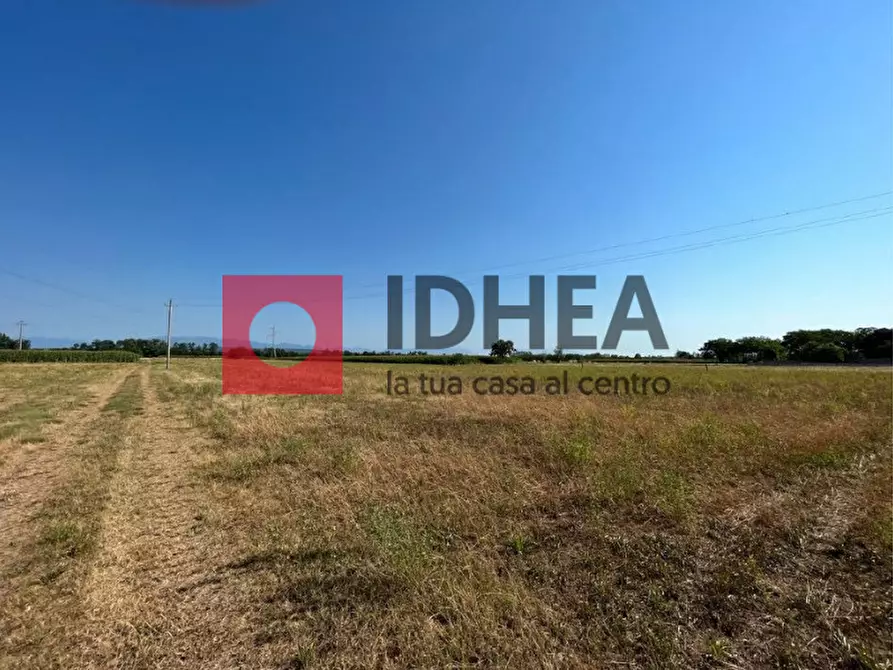 terreno agricolo in vendita a Paese in zona Postioma