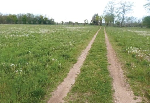 terreno in vendita a Paese in zona Padernello