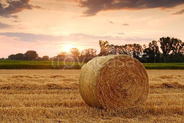 terreno agricolo in vendita a Paese in zona Postioma