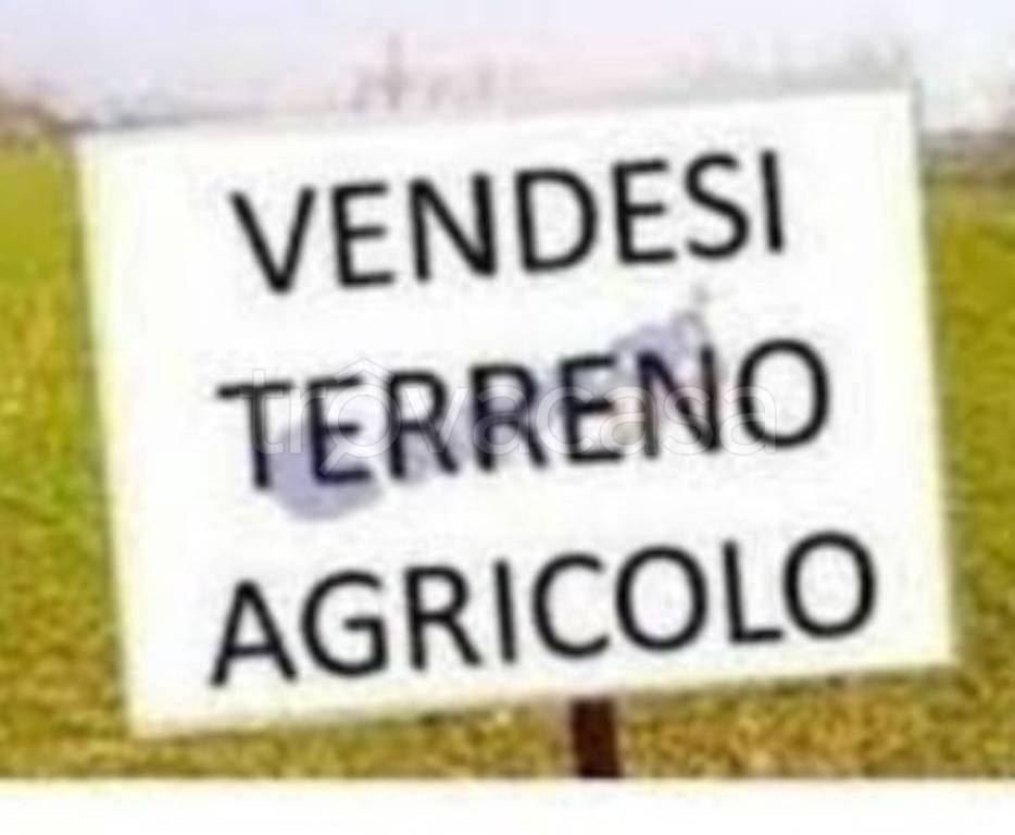 terreno agricolo in vendita a Pederobba
