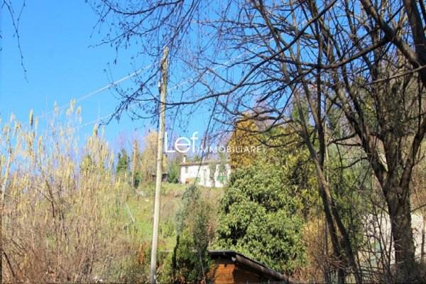 pentavano in vendita a Pederobba