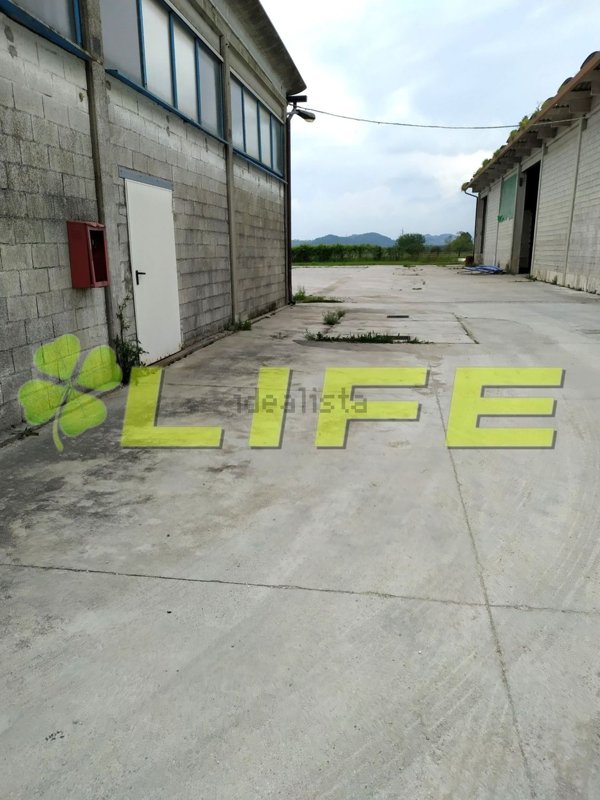 capannone in vendita a Pederobba