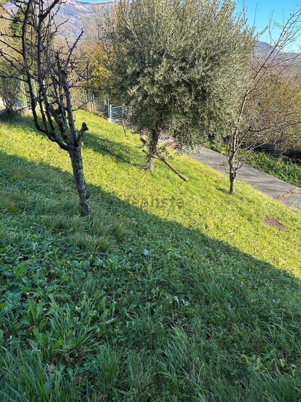 casa indipendente in vendita a Pederobba