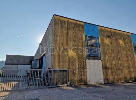 locale commerciale in vendita a Pederobba