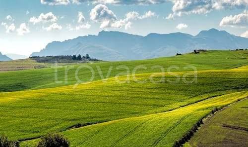 terreno agricolo in vendita a Pederobba in zona Levada