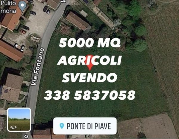 azienda agricola in vendita a Ponte di Piave
