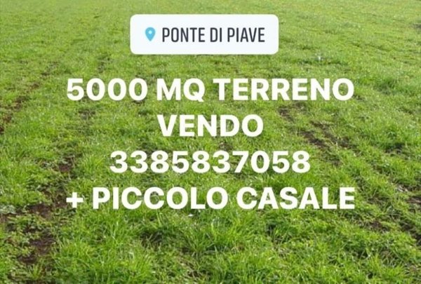 terreno agricolo in vendita a Ponte di Piave