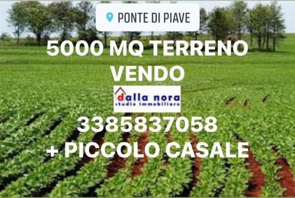 casa indipendente in vendita a Ponte di Piave