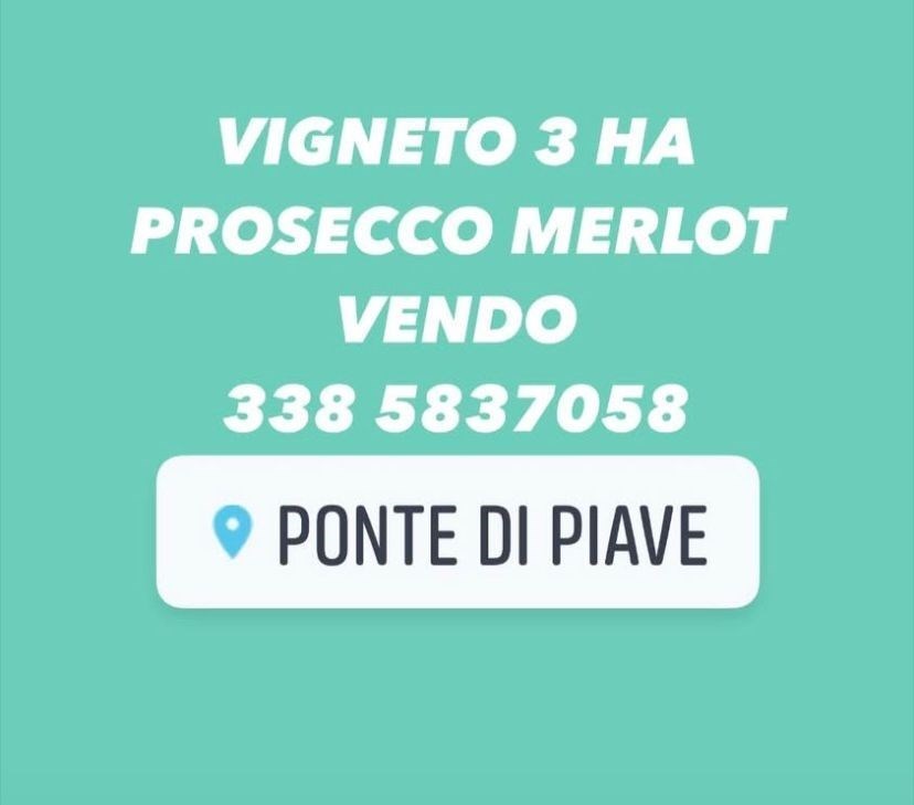 terreno agricolo in vendita a Ponte di Piave