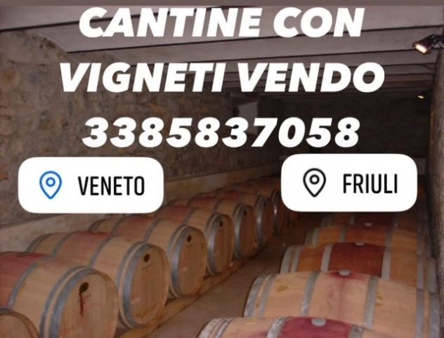 terreno agricolo in vendita a Ponte di Piave