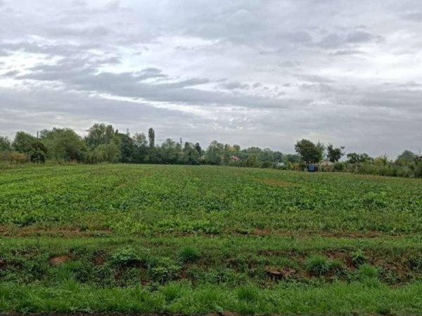 terreno agricolo in vendita a Ponzano Veneto