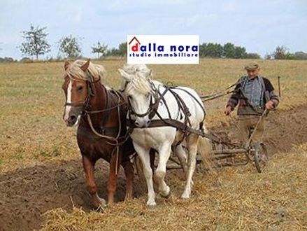 appartamento in vendita a Ponzano Veneto