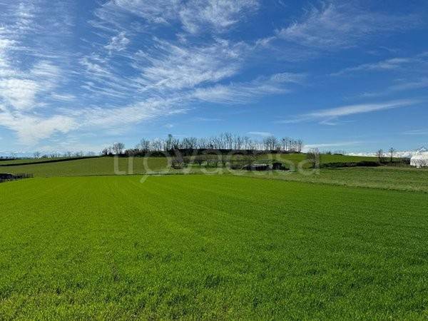 terreno edificabile in vendita a Ponzano Veneto
