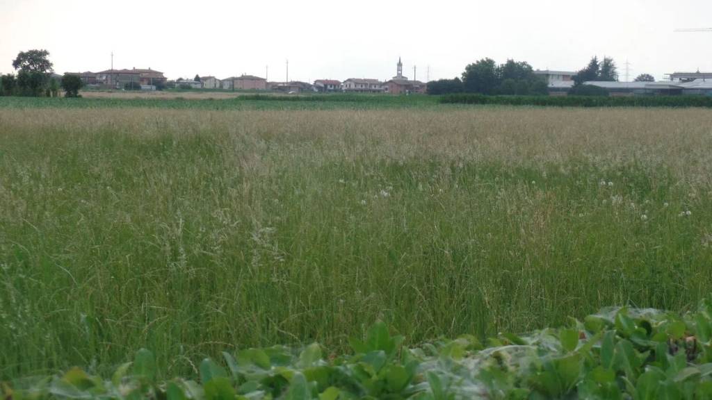 terreno edificabile in vendita a Ponzano Veneto