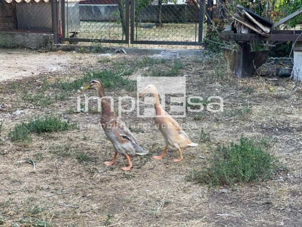 casa indipendente in vendita a Ponzano Veneto in zona Paderno