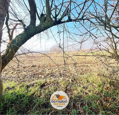 casa indipendente in vendita a Ponzano Veneto in zona Merlengo