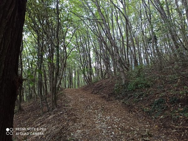 casale in vendita a Possagno