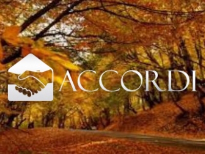 terreno agricolo in vendita a Possagno