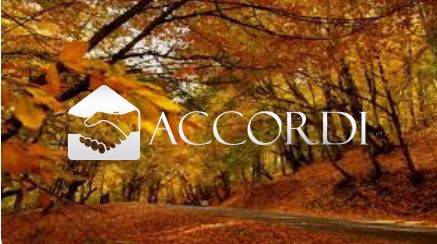 terreno agricolo in vendita a Possagno