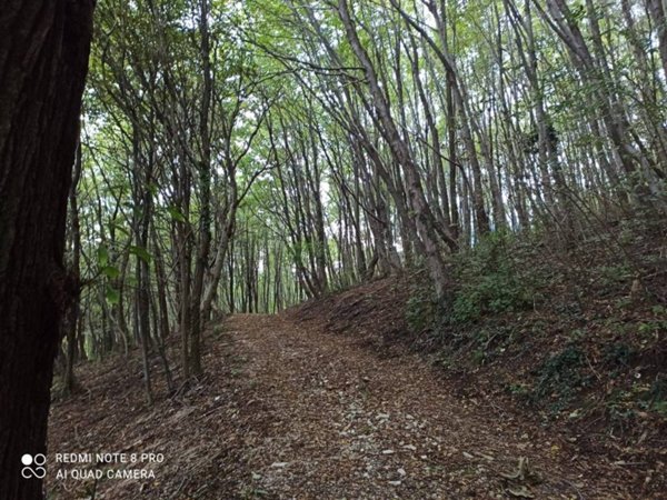 casale in vendita a Possagno