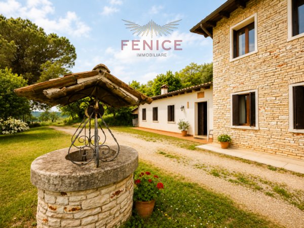 casa indipendente in vendita a Possagno