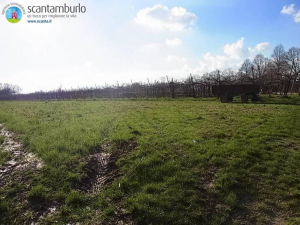 terreno edificabile in vendita a Povegliano