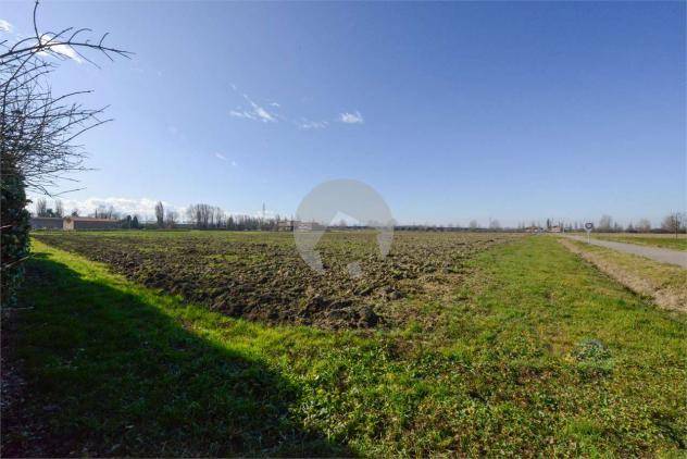 terreno edificabile in vendita a Povegliano