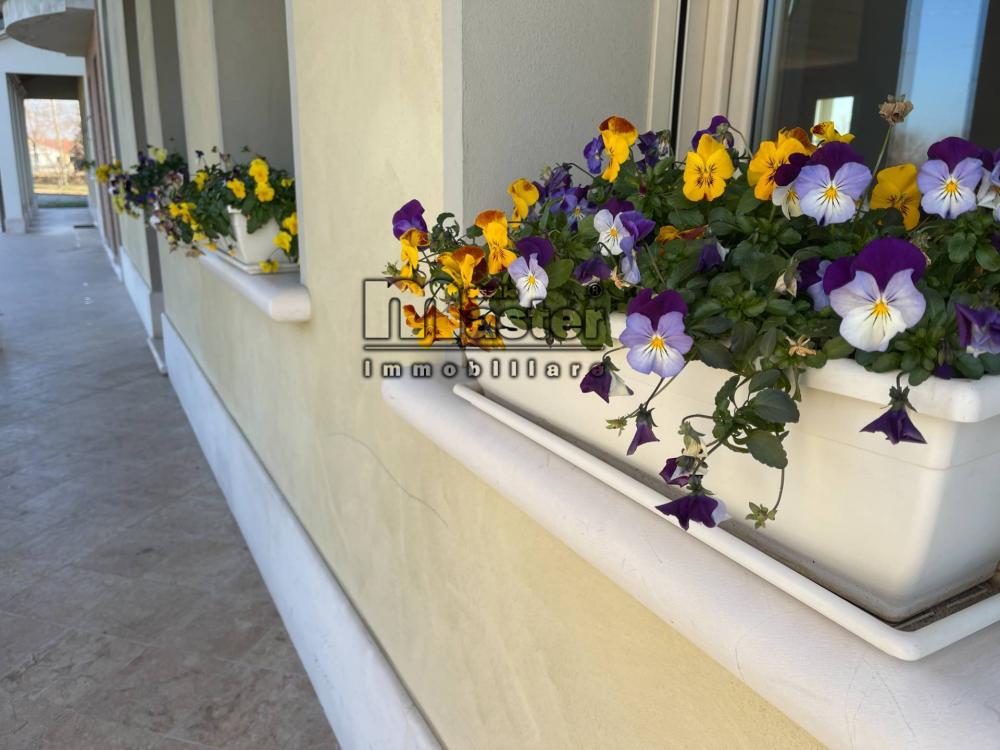 casa indipendente in vendita a Preganziol in zona Sambughè