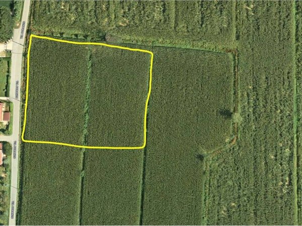 casa indipendente in vendita a Preganziol