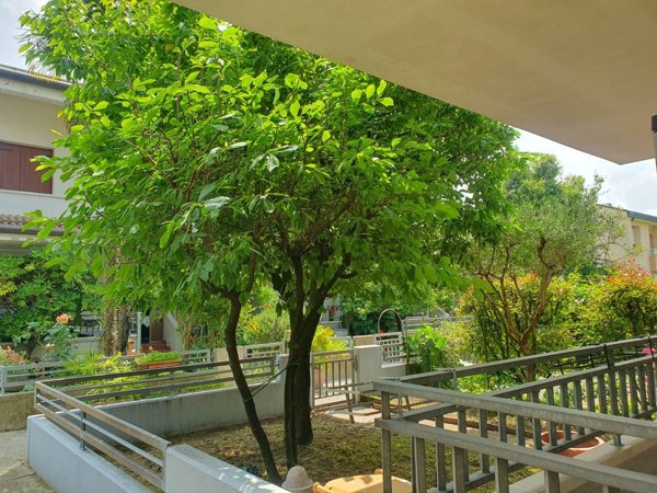 casa indipendente in vendita a Preganziol in zona Sambughè